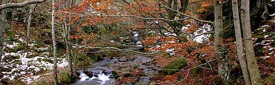 otoño de los lectores otoño de los lectores