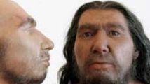 Neandertal 214 Neandertal 214