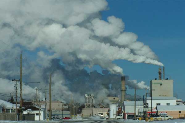 Polos Industriales Polos Industriales