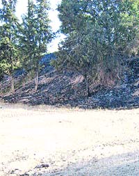 28 de los 38 parques municipales de la capital tienen graves deficiencias 28 de los 38 parques municipales de la capital tienen graves deficiencias