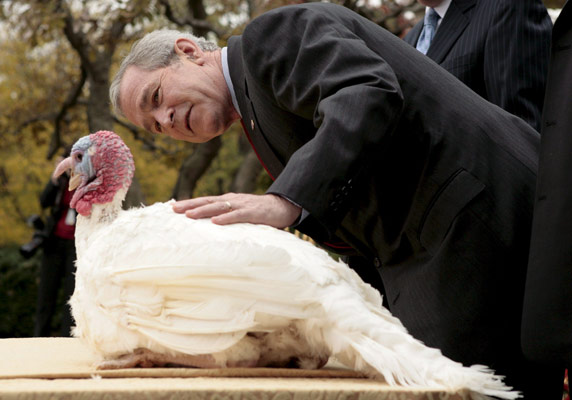 George Bush George Bush