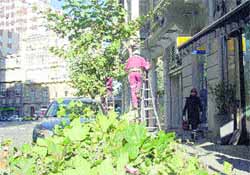 La falta de lluvias retrasa la poda de 4.000 árboles La falta de lluvias retrasa la poda de 4.000 árboles