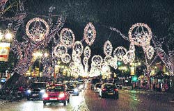 La Navidad se viste de verde La Navidad se viste de verde