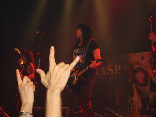 WASP WASP