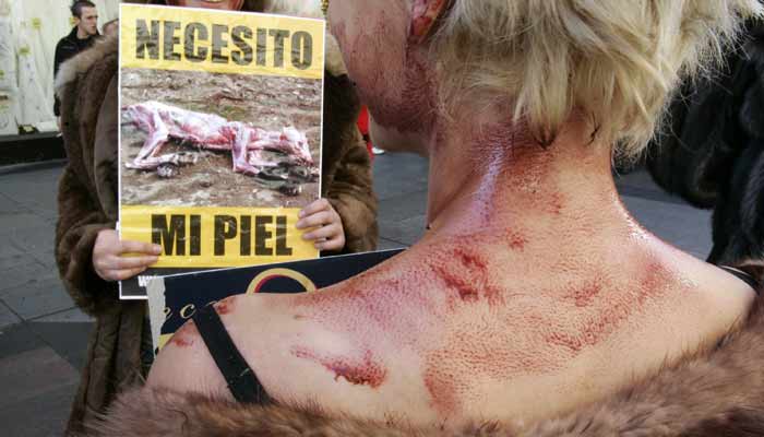 Pasarela de la crueldad Pasarela de la crueldad
