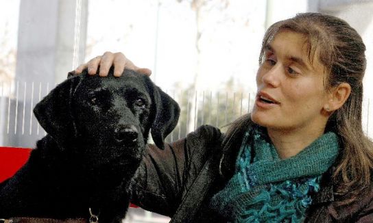 Perro guía Perro guía