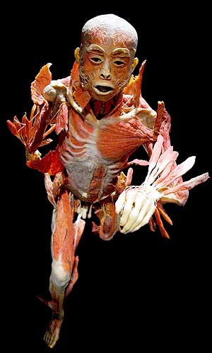 'Bodies' 'Bodies'