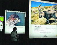 comprometido con la fauna y flora comprometido con la fauna y flora