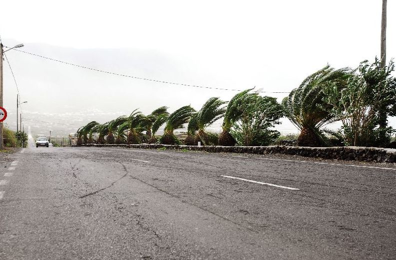Pérdidas por el clima Pérdidas por el clima