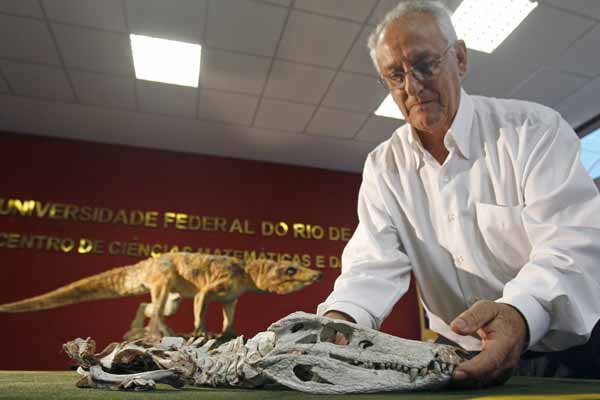Fósil del cocodrilo 'Montealtosuchus arrudacamposi' Fósil del cocodrilo 'Montealtosuchus arrudacamposi'