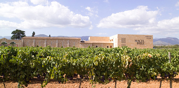 Bodega Mallorca. Bodega Mallorca.