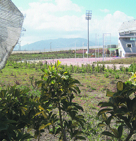 El estadio de atletismo, dos años tarde y en el abandono El estadio de atletismo, dos años tarde y en el abandono