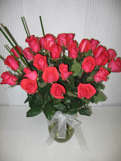 Rosa Rosa