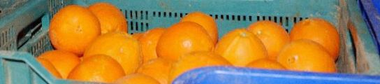 Caja de naranjas Caja de naranjas