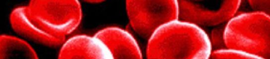 Globulos rojos Globulos rojos