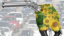 Biodiesel 214 Biodiesel 214
