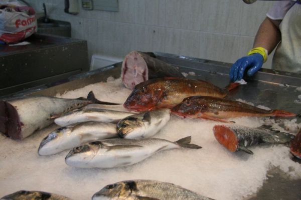 Pescado Pescado