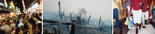 Deforestación Deforestación