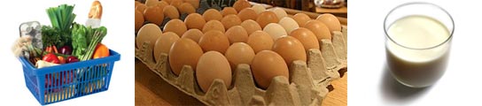 Precios de los alimentos Precios de los alimentos
