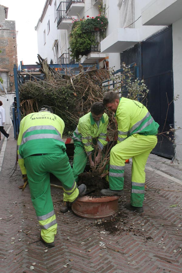 Operarios de parques y jardines en Marbella Operarios de parques y jardines en Marbella