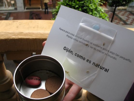 Semilla de regalo Semilla de regalo