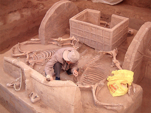 Arqueologia Arqueologia