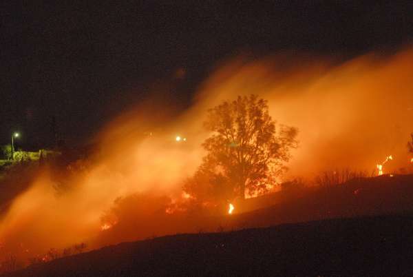 Incendio forestal Incendio forestal