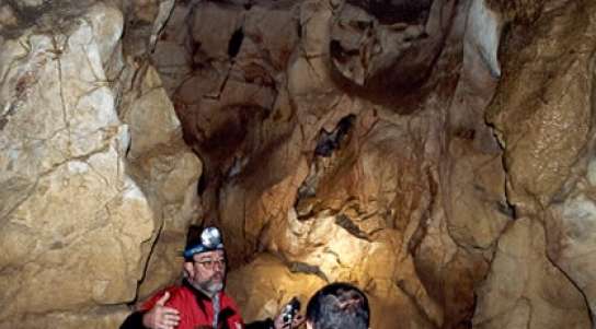 Las visitas actualmente están limitadas Las visitas actualmente están limitadas