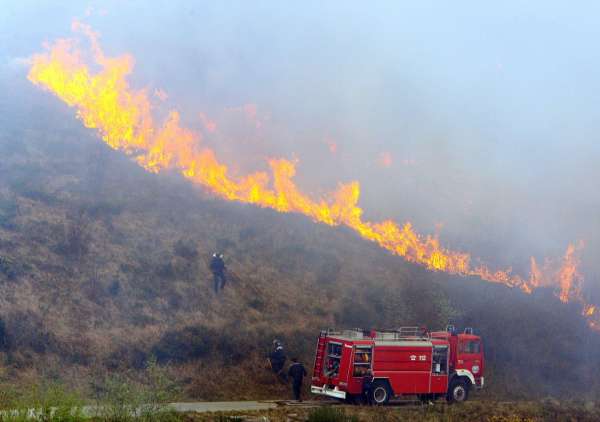 Incendio forestal en Navalmoral de la Mata Incendio forestal en Navalmoral de la Mata