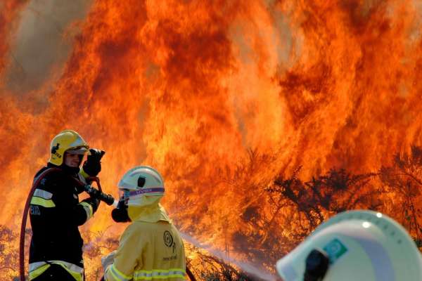 Incendio forestal Incendio forestal