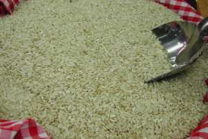 Arroz