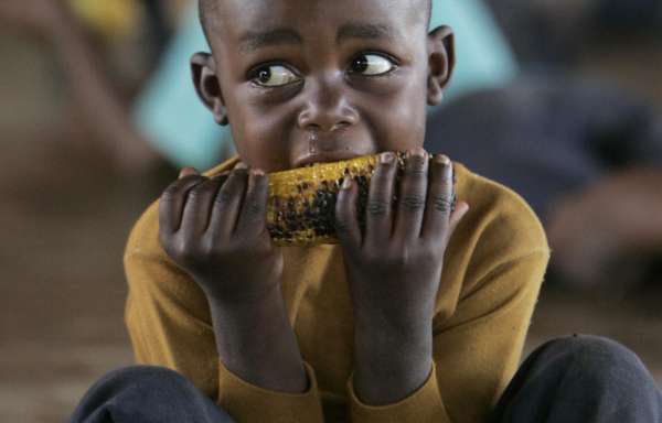 Hambre en el mundo Hambre en el mundo