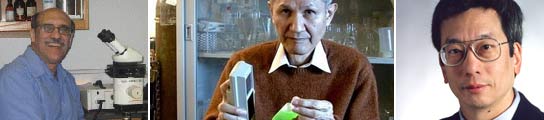 Premio Nobel de Química. Premio Nobel de Química.