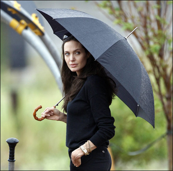 Angelina Jolie Angelina Jolie