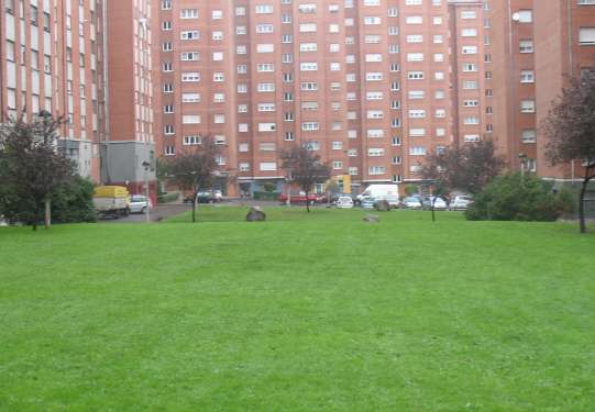 Un jardín en Nuevo Gijón Un jardín en Nuevo Gijón