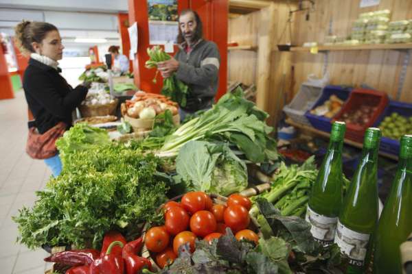 Alimentos Alimentos