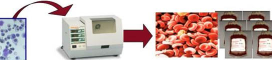 Máquina sangre universal Máquina sangre universal
