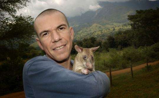Bart Weetjens, con una de sus ratas Bart Weetjens, con una de sus ratas