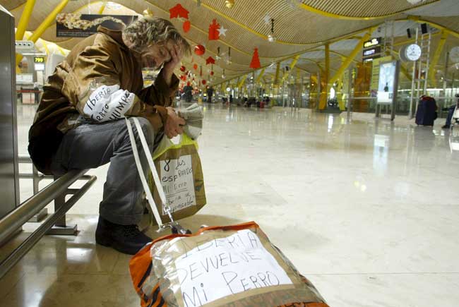 pasajero perro barajas pasajero perro barajas