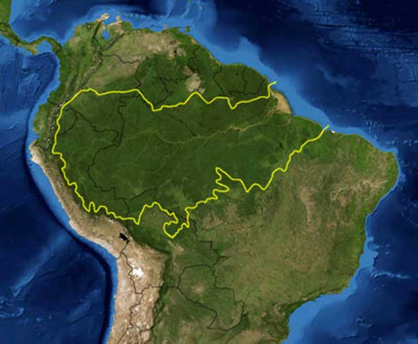 Mapa de la selva amazónica Mapa de la selva amazónica