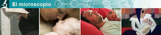Maternidad Maternidad