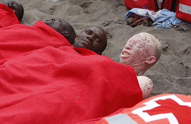 Inmigrante albino Inmigrante albino