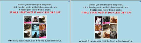 Captcha the dog Captcha the dog