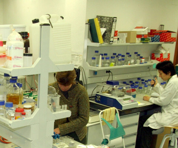 Laboratorio Laboratorio