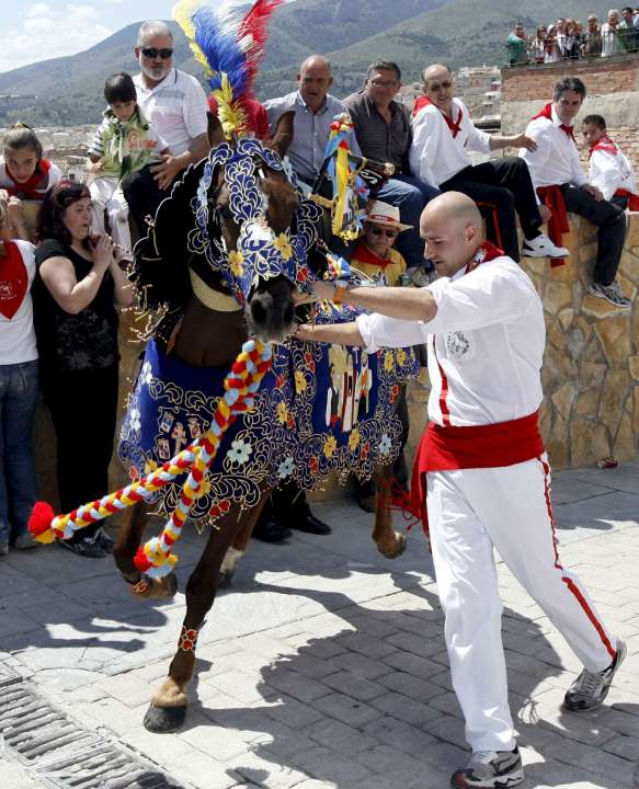 Caballos del vino Caballos del vino