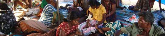 La ONU denuncia un "baño de sangre" en Sri Lanka, con 380 civiles muertos (Imagen: www.vannimission.org)