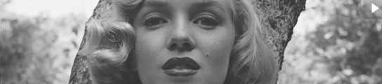 Marilyn Monroe Marilyn Monroe