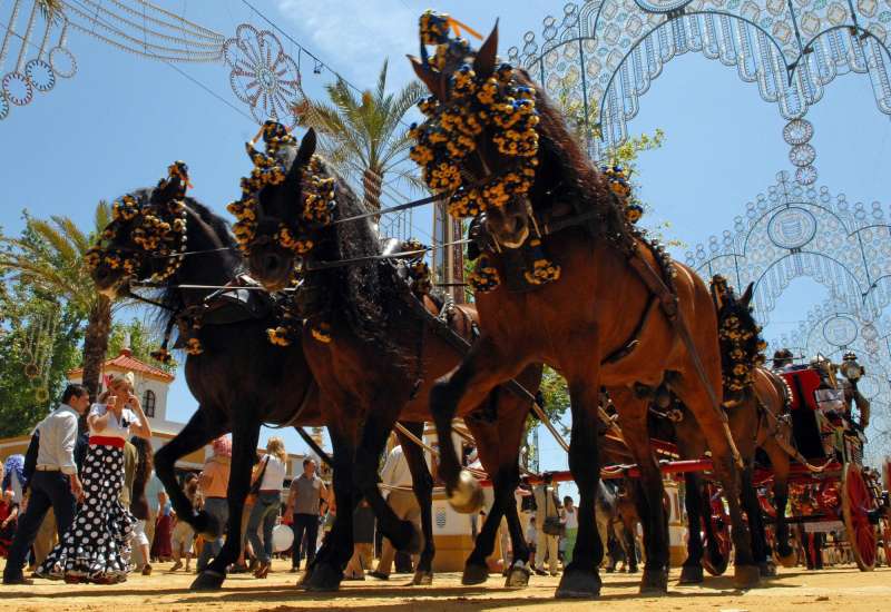 Feria del Caballo en Jerez Feria del Caballo en Jerez