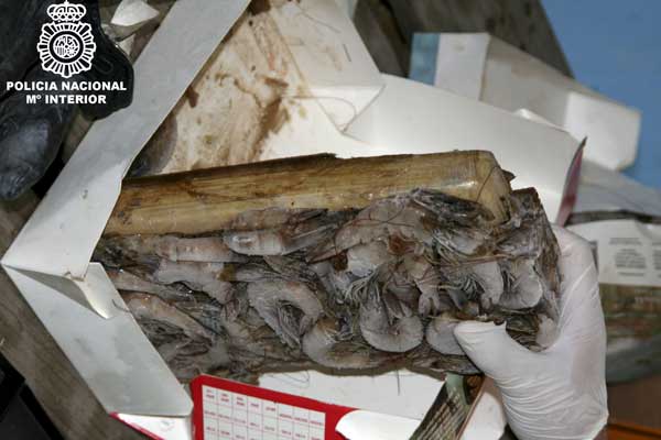 Cocaína camuflada bajo un cargamento de gambas Cocaína camuflada bajo un cargamento de gambas