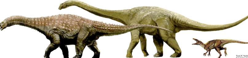 Nuevas especies de dinosaurios australianos Nuevas especies de dinosaurios australianos